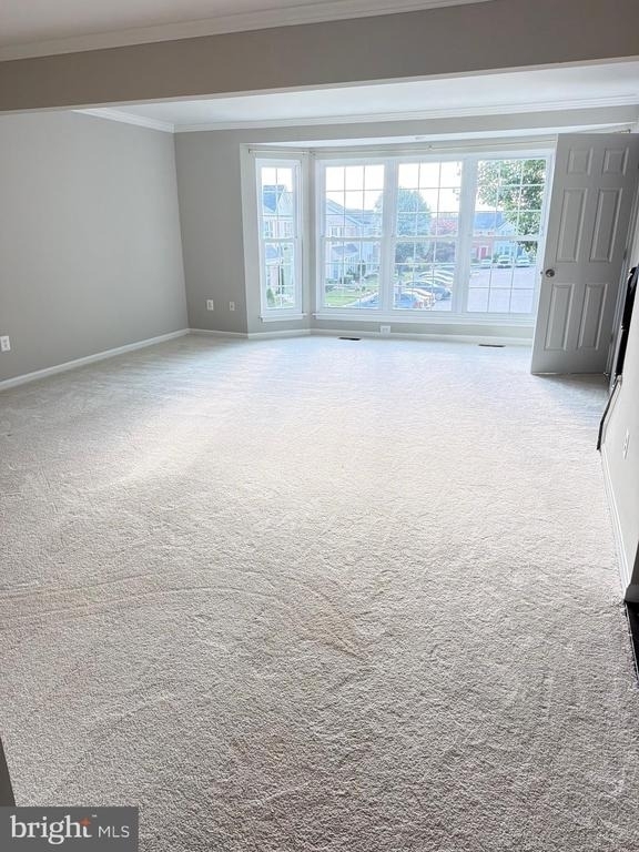 9253 Jessica Drive - Photo 4