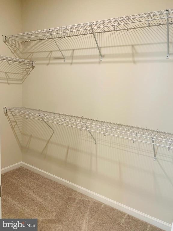 22486 Radford Point Terrace - Photo 15