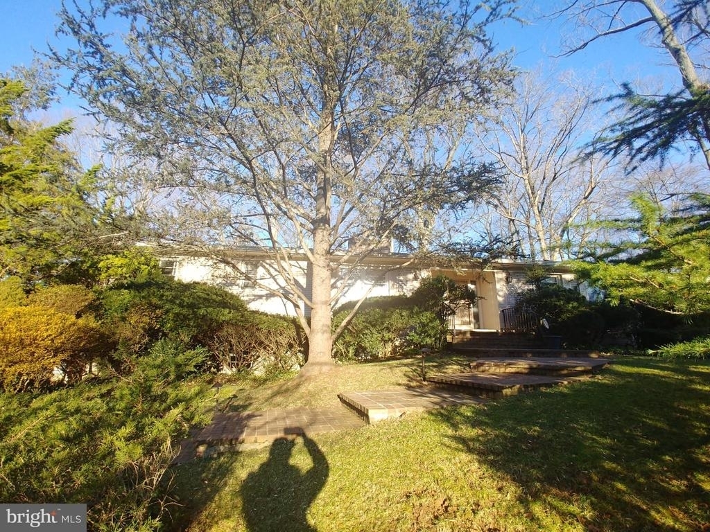 1429 Laburnum Street - Photo 0
