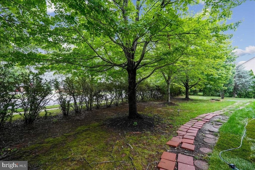 905 Royal Elm Court - Photo 66