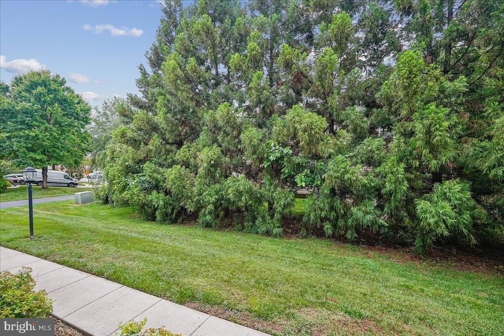 905 Royal Elm Court - Photo 61