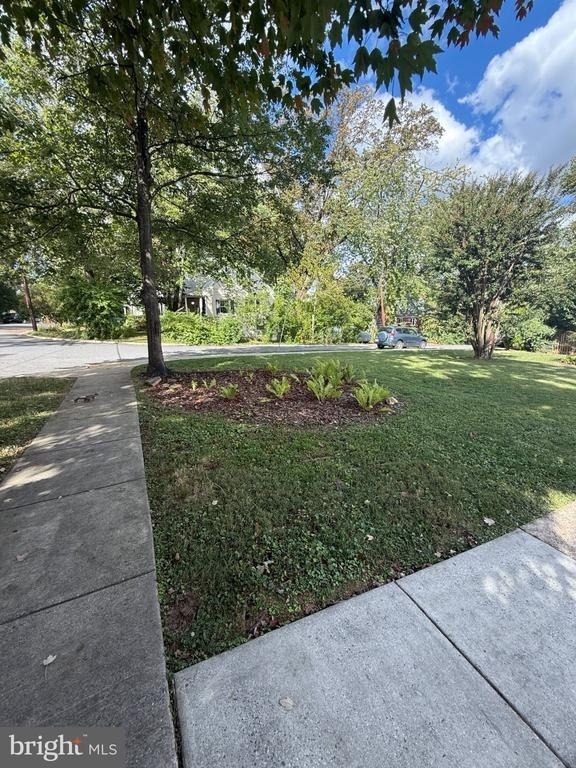 4325 Maple Avenue - Photo 13