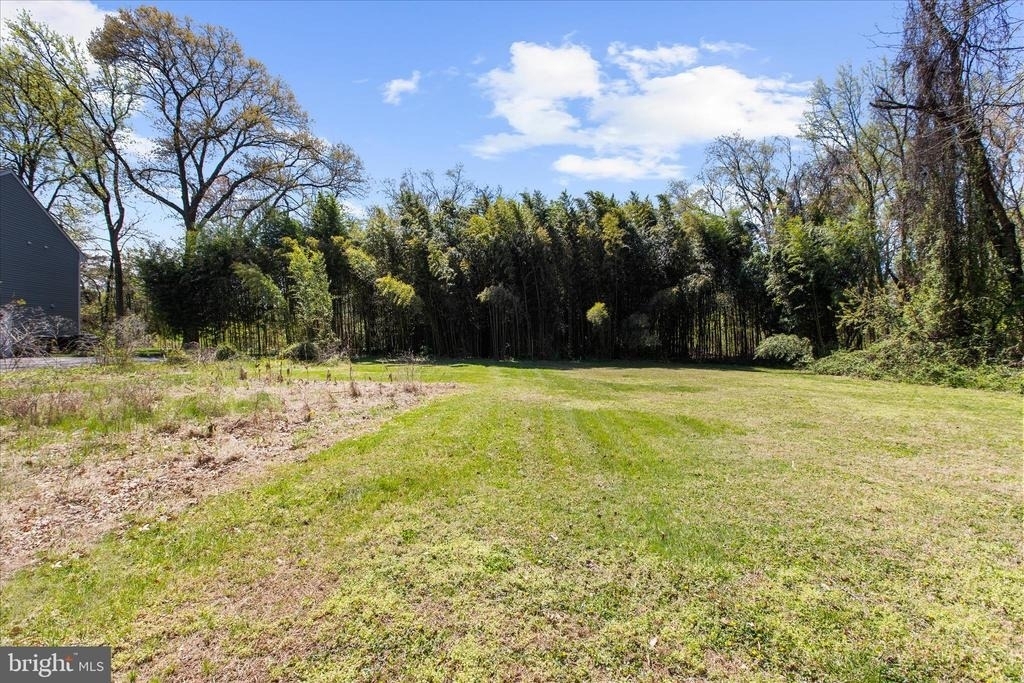 161 Margate Drive - Photo 3