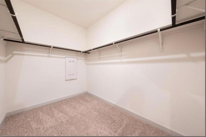 10805 Meris Ln - Photo 20