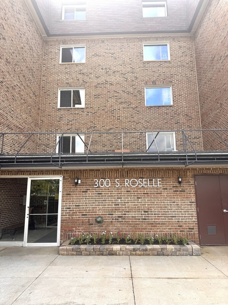300 S Roselle Road - Photo 0