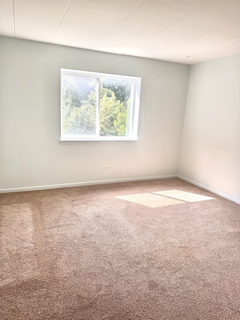 300 S Roselle Road - Photo 6
