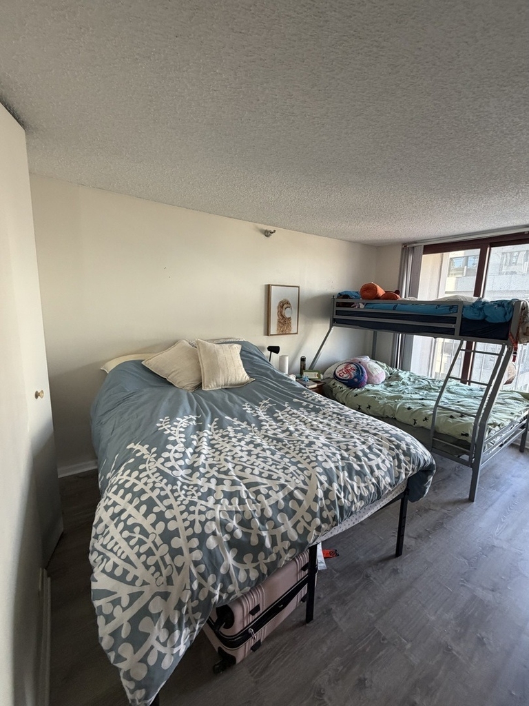 200 N Dearborn Street - Photo 6