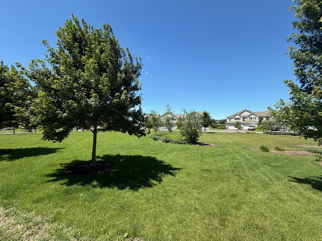 1607 Carlstedt Drive - Photo 12