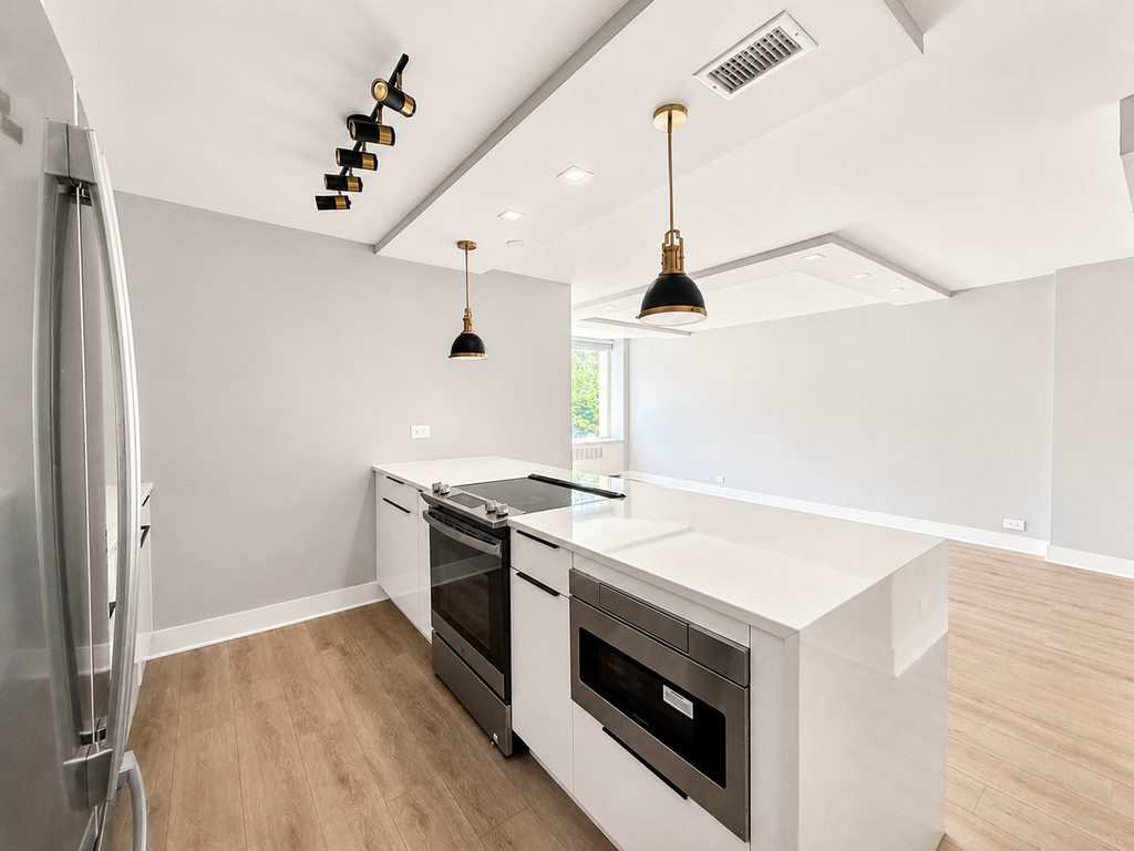 1355 N Sandburg Terrace - Photo 3