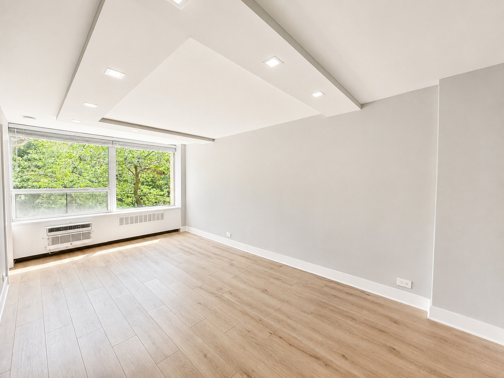 1355 N Sandburg Terrace - Photo 4