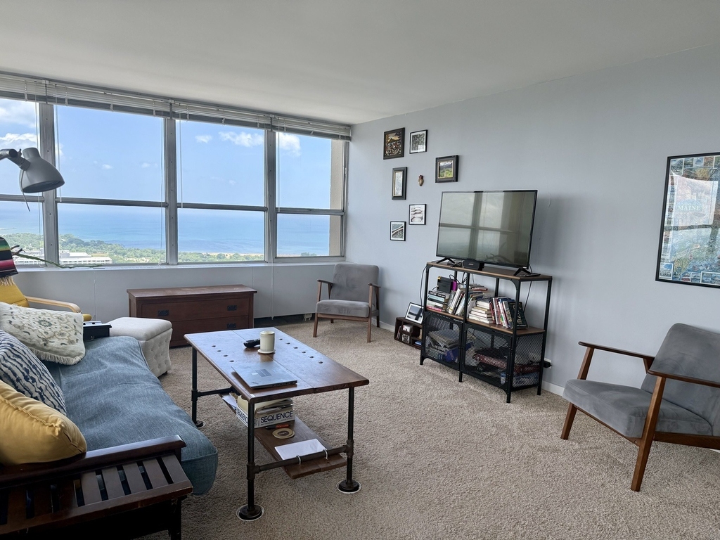 655 W Irving Park Road - Photo 6