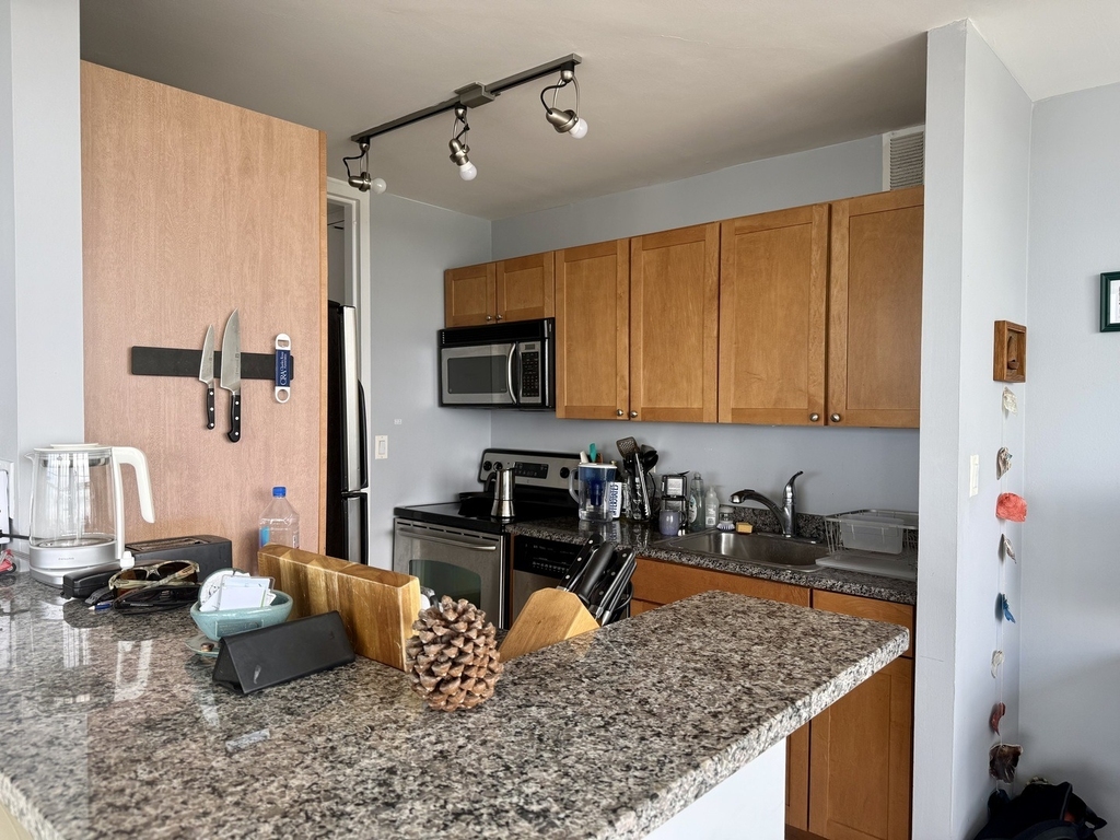 655 W Irving Park Road - Photo 10
