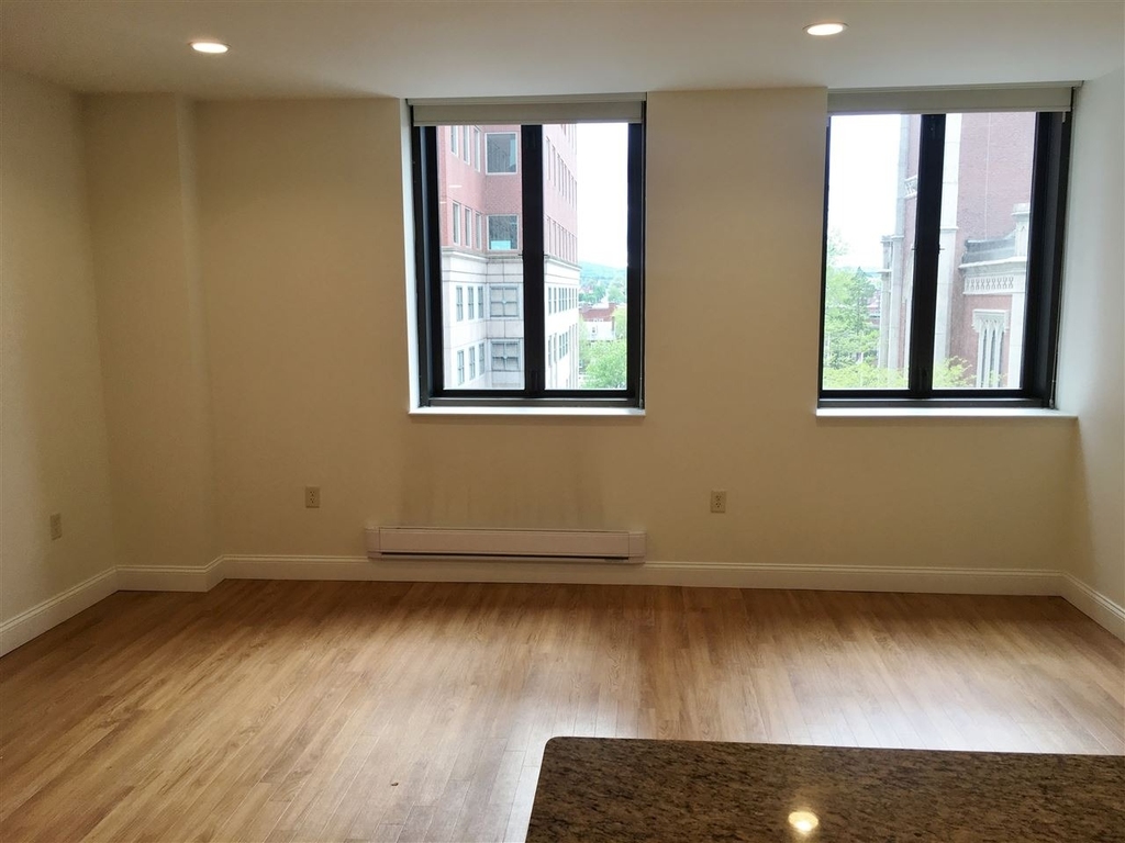 875 Elm - Photo 4