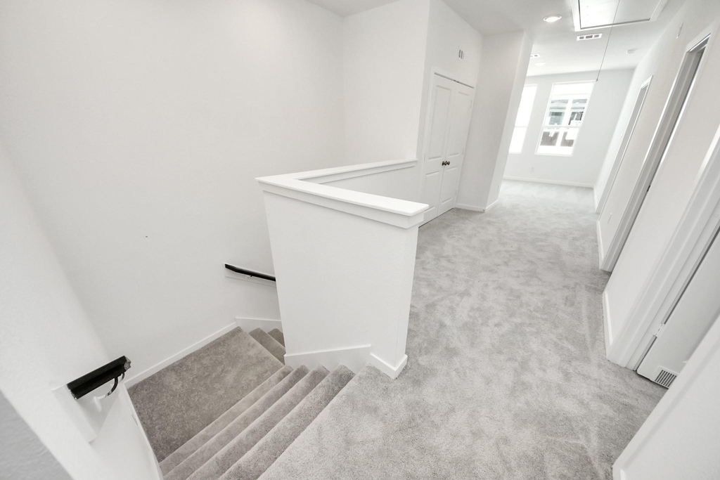 2205 Via Cami Lane - Photo 11