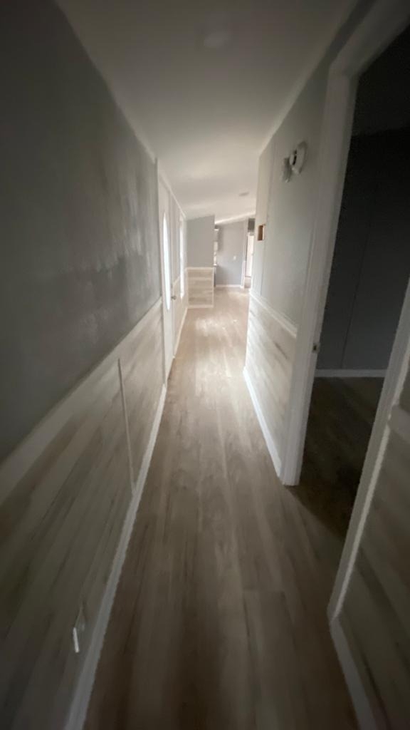 23516 Patricia Lane - Photo 14