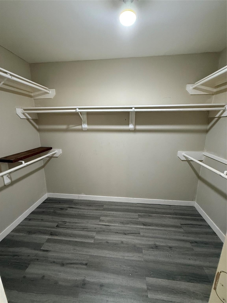 20823 Camphor Tree Drive - Photo 9