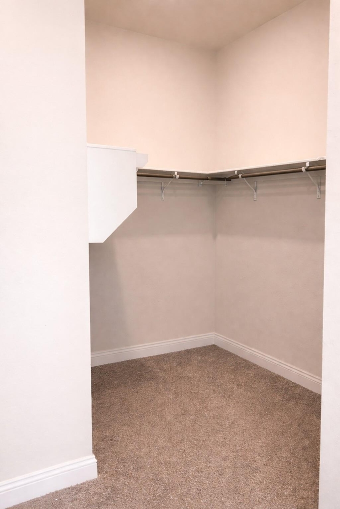 10442 Eastern Bluestar Drive - Photo 20