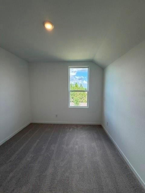 12618 Blue Catfish Lane - Photo 13