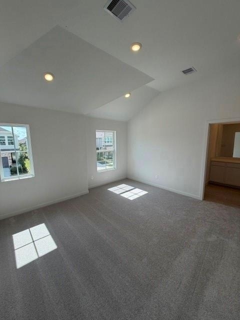 12618 Blue Catfish Lane - Photo 18