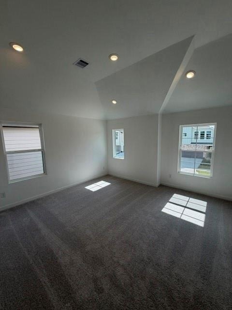 12618 Blue Catfish Lane - Photo 17