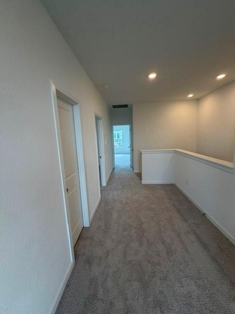 12618 Blue Catfish Lane - Photo 11