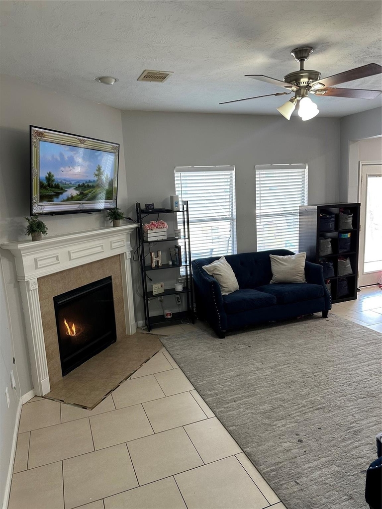 10446 Harbor Canyon Drive - Photo 9