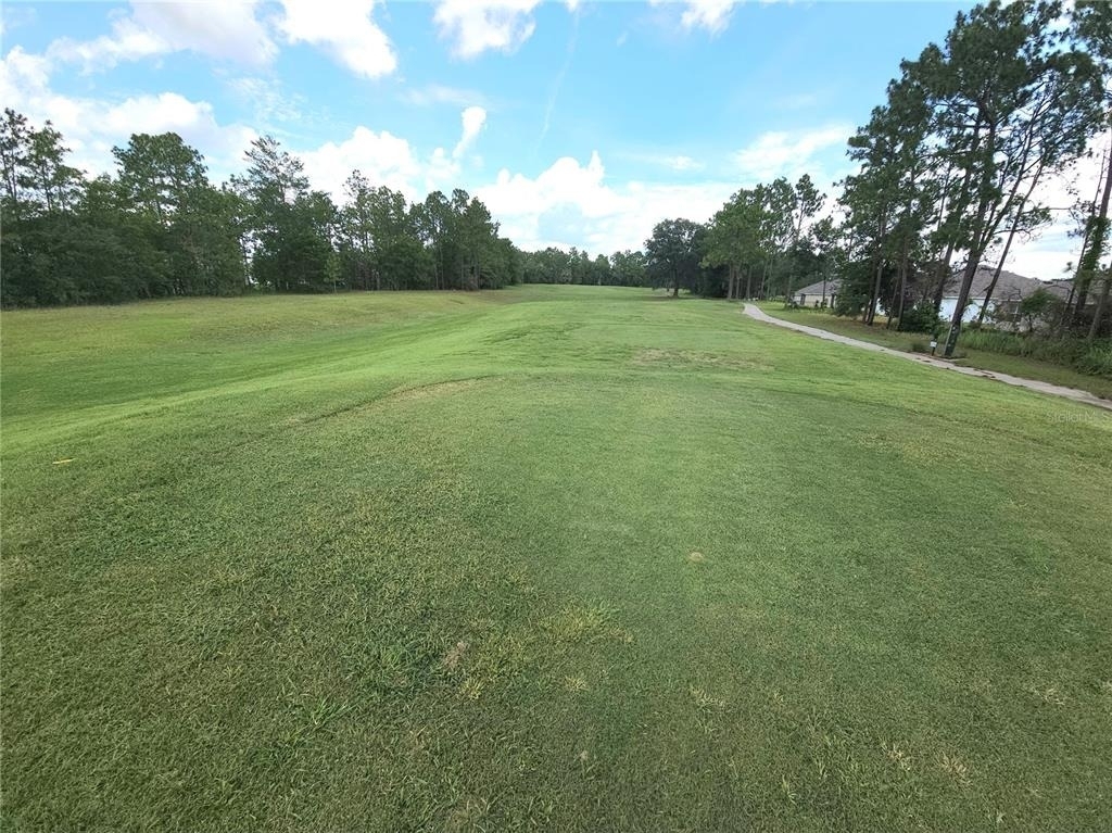 296 Hickory Course Trail - Photo 15