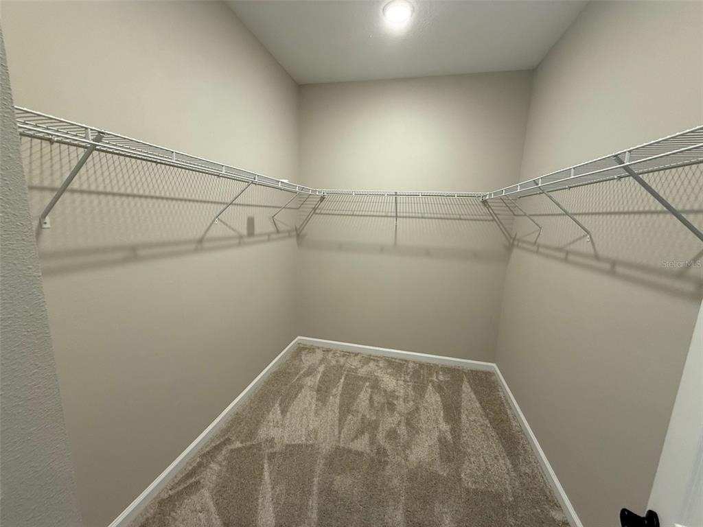 10073 Spring Lake Drive - Photo 13