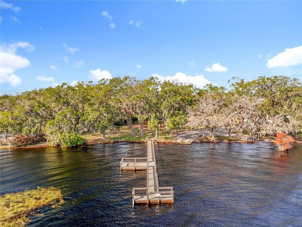 10073 Spring Lake Drive - Photo 33