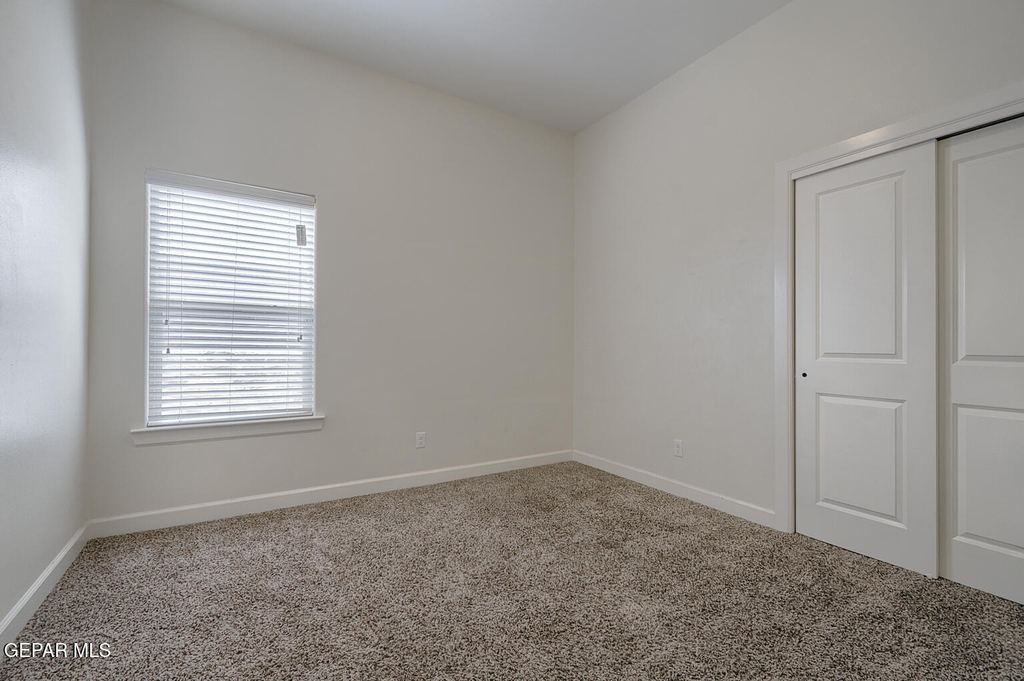 14733 Tim Hardaway - Photo 24