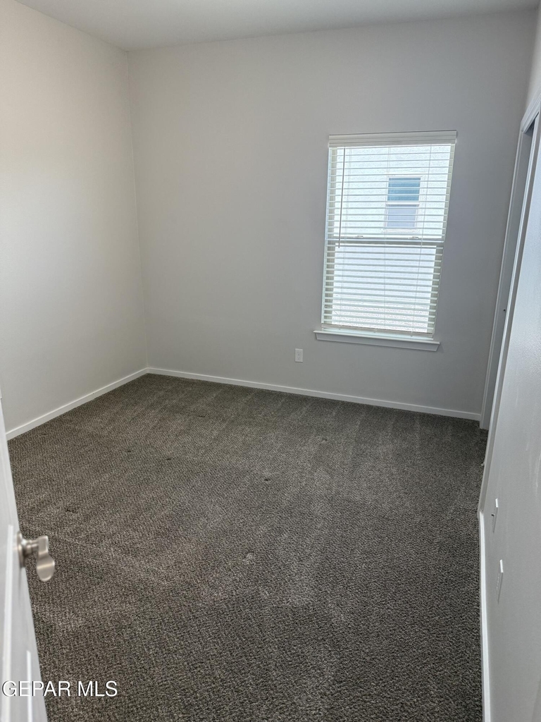 10148 Texas Madrone Drive - Photo 16
