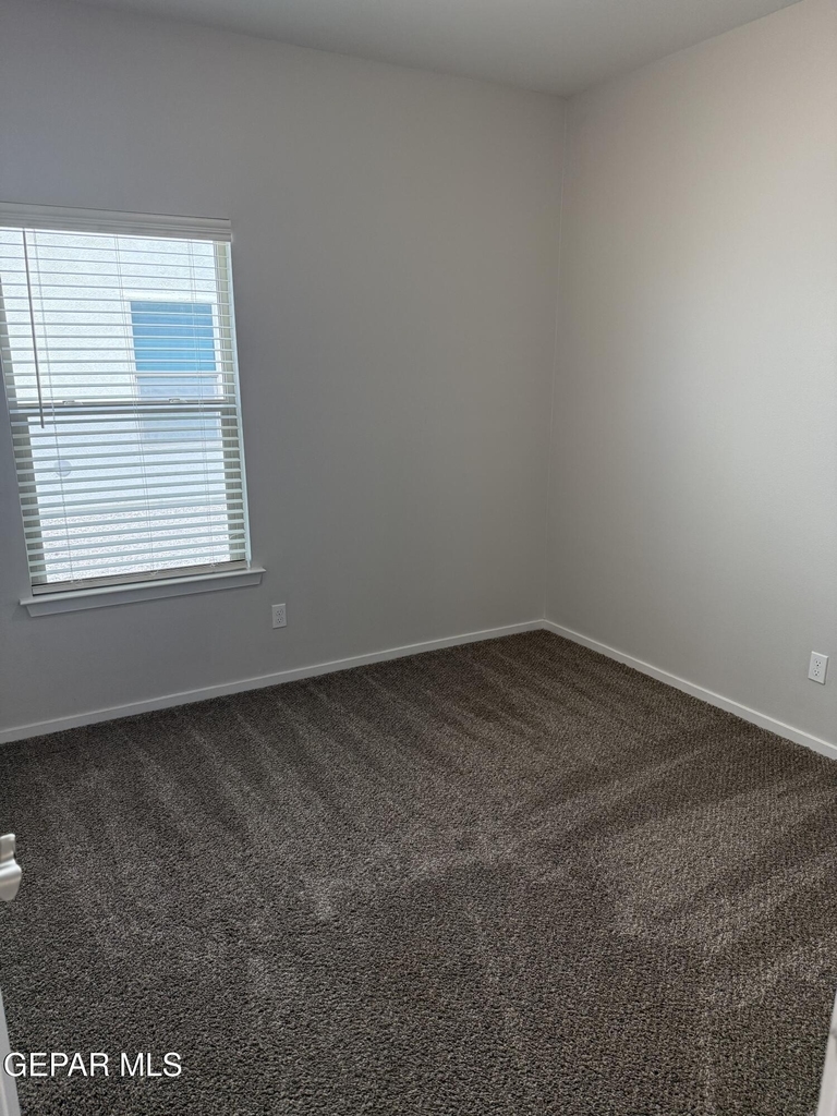 10148 Texas Madrone Drive - Photo 18