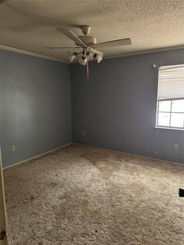 1413 Alford Drive - Photo 10