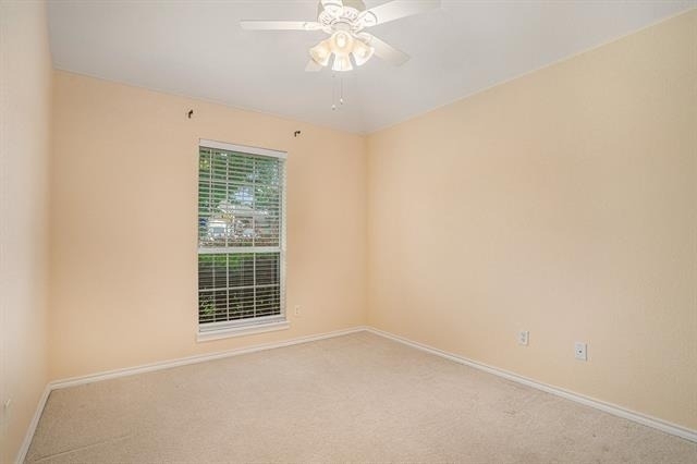 1307 Hyde Park Boulevard - Photo 17