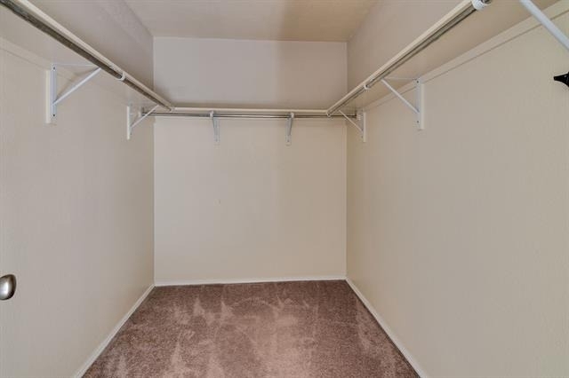 13048 Fencerow Road - Photo 18