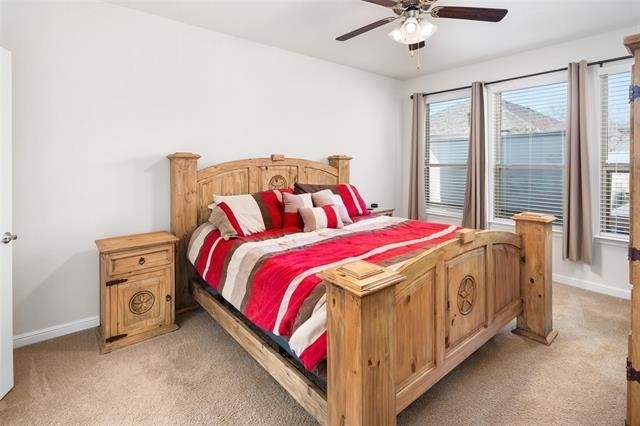 1309 Canary Lane - Photo 9