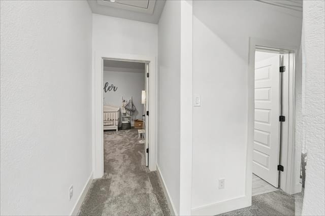249 Observation Drive N - Photo 24