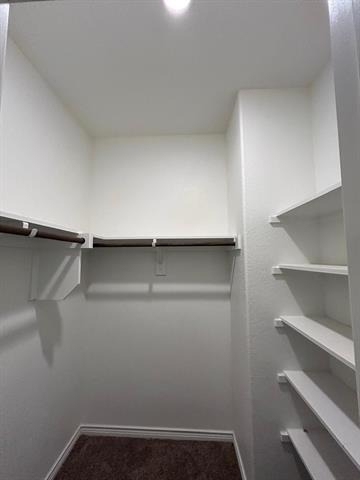 10320 Big Sandy Court - Photo 35