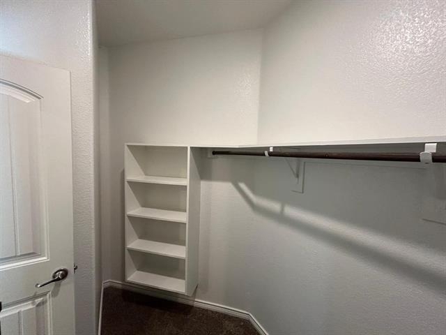 10320 Big Sandy Court - Photo 20