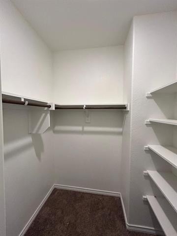 10320 Big Sandy Court - Photo 32