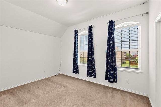 13429 Tabasco Cat Drive - Photo 22