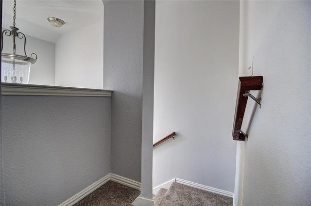 8017 Caladium Drive - Photo 14