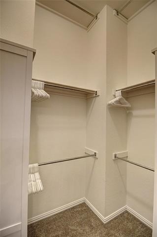 8017 Caladium Drive - Photo 15