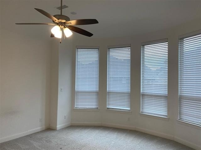 3930 Prairie Clover Lane - Photo 13