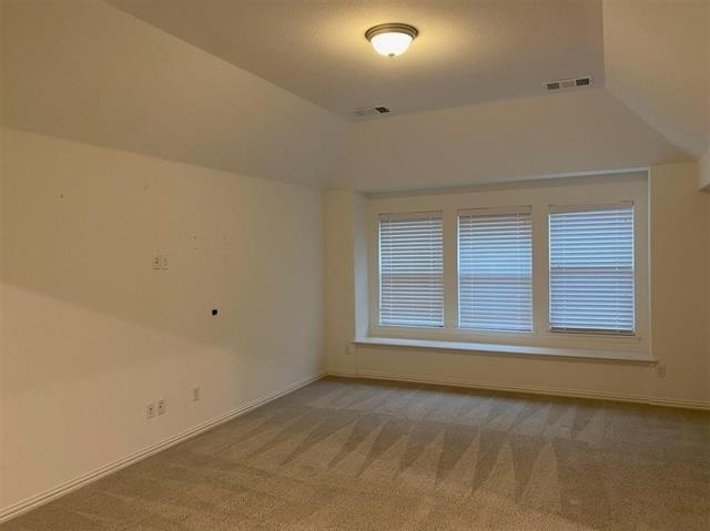 3930 Prairie Clover Lane - Photo 23