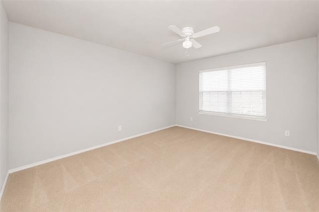 508 Lead Creek Drive - Photo 29