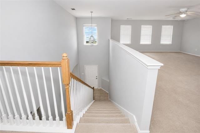 508 Lead Creek Drive - Photo 32