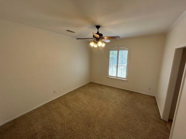 7312 Lavery Drive - Photo 14