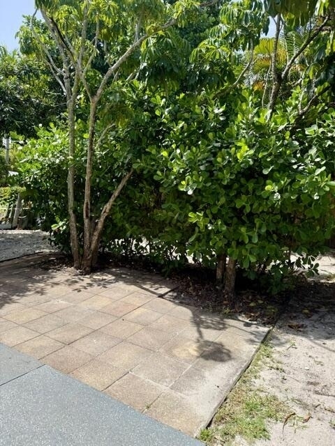 301 S M Street - Photo 14