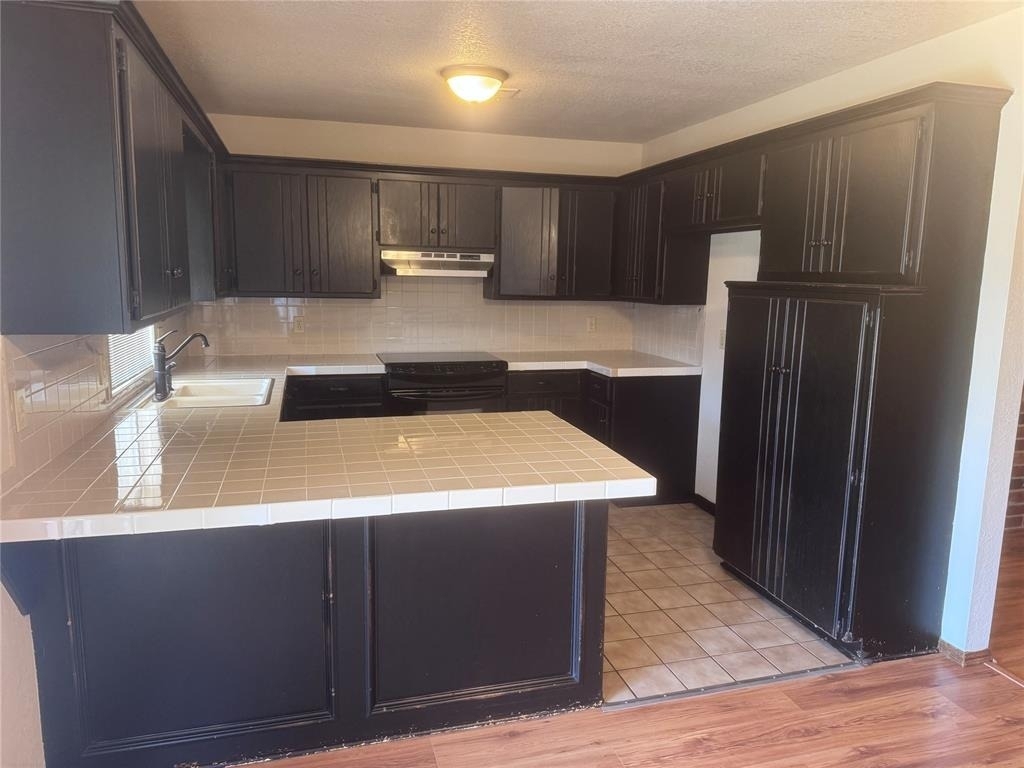 2900 Green Canyon Drive - Photo 3